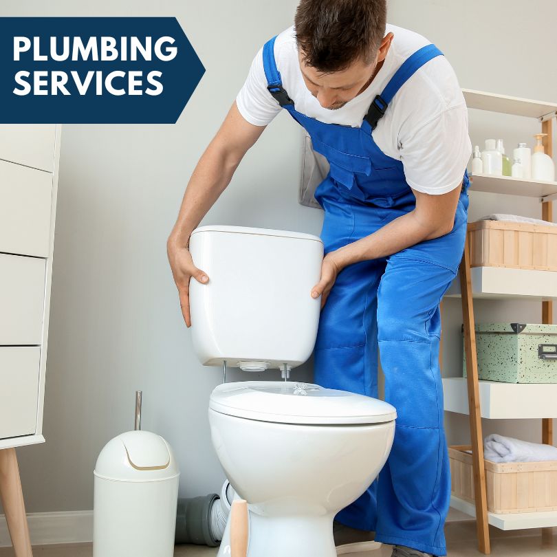 Plumbing Company in Spring Grove, IL